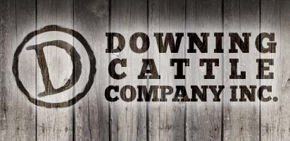 Downing Cattle Company Header